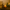 Amber Luxe Candle – Textured Amber Glass Candle for Luxury Home