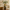 Twin-Handled Black & Gold Vase – Vintage Artistic Décor