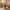 Wide Black & Gold Vase – Rustic Statement Décor