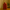 Red ceramic jar on a wooden surface with a blurred plant and curtain in the background